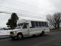 Transport Diligence 27 (Para-transit - Transport adapt�)