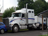 Golden International